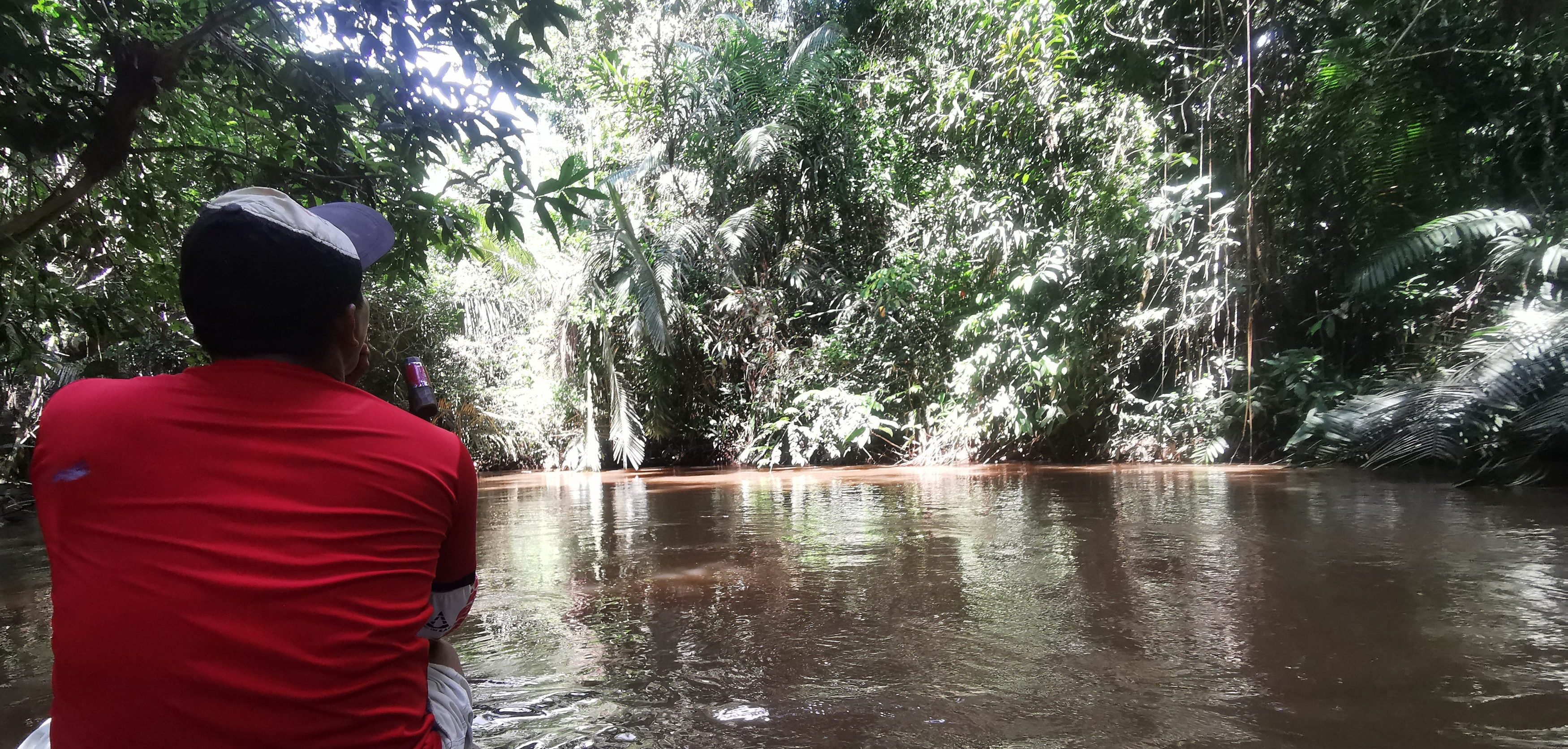 In the jungle - Day 3