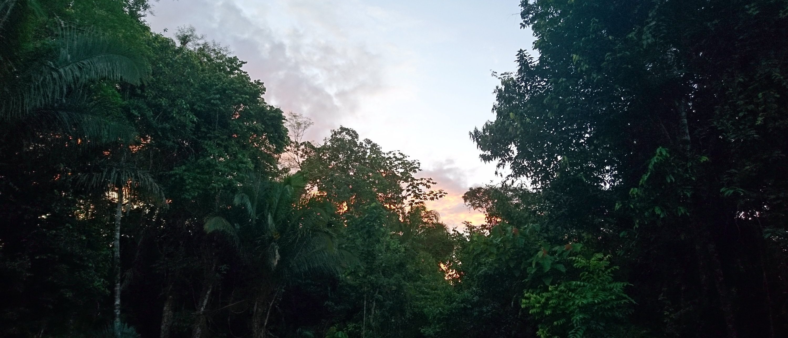In the jungle - Day 2