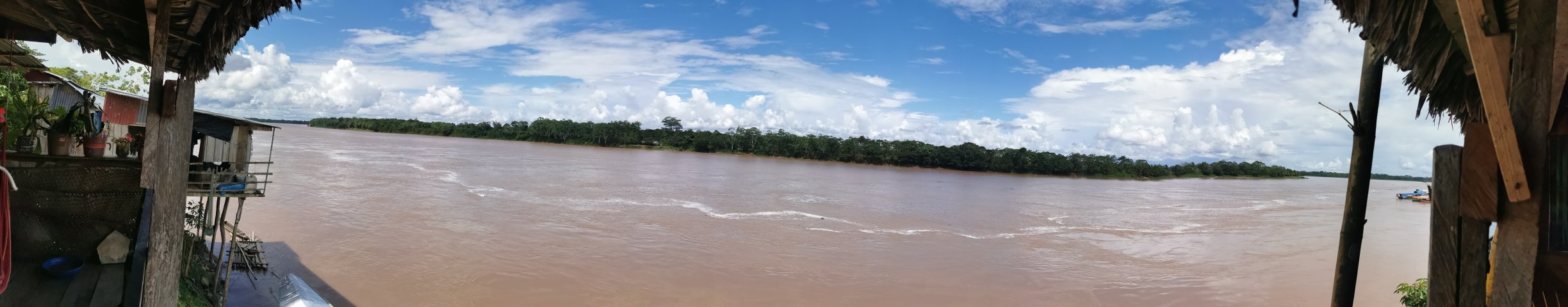 Deep into the Amazon